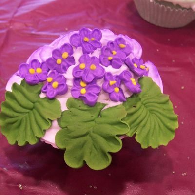 Violet Cupcake