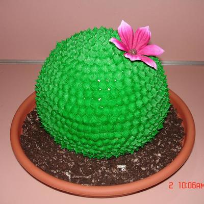 Cactus Cake