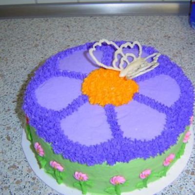 Butterfly Cake