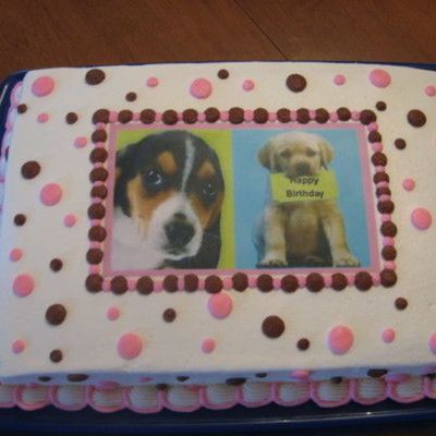 Puppies And Polka Dots