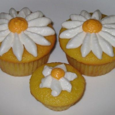 32Nd Cake - Even More Cupcake Therapy