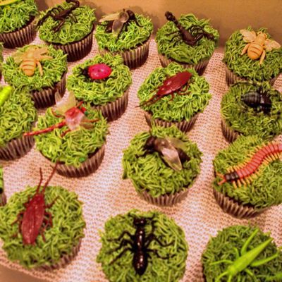 Insect Cupcakes