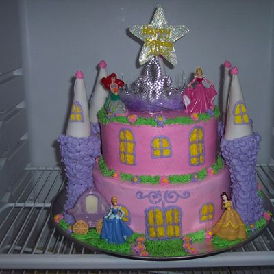 Disney Princess Castle
