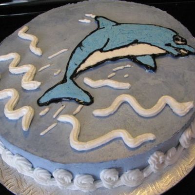 Dolphin Transfert Bc