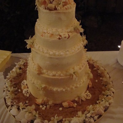 Seashell Cake
