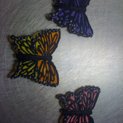 Butterflies