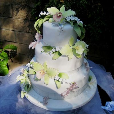 Orchids And Dragonflies...