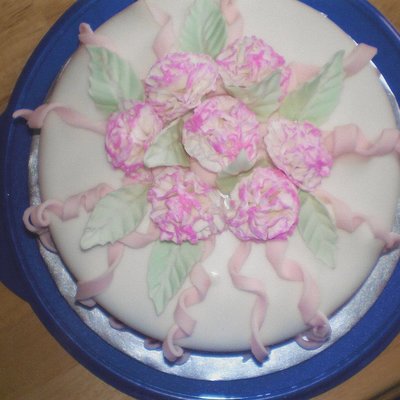 Gumpaste Carnations On Fondant