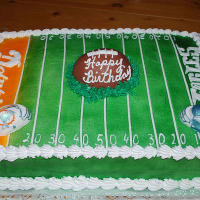 Philadelphia Eagles/miami Dolphins Football Field