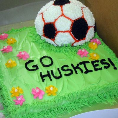 Go Huskies Another View