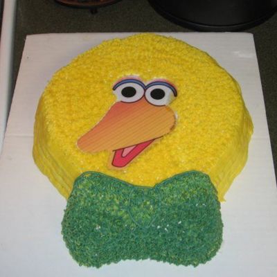 Bigbird.jpg