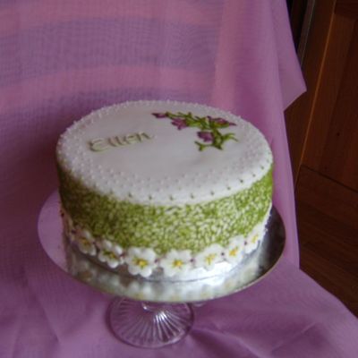 Ellens Cake (Side View)