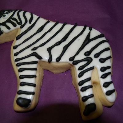 Zebra