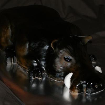 Wild Hog Cake