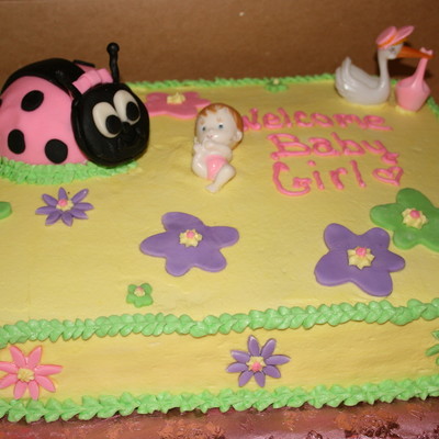 Lady Bug Baby Shower