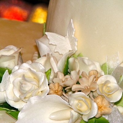 Two Tiered Wedding Cake