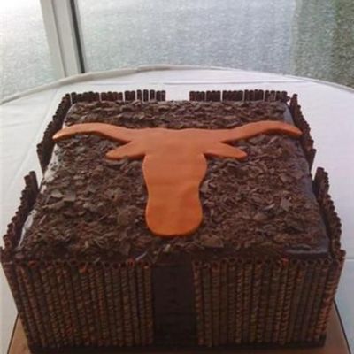 Ut Groom's Cake