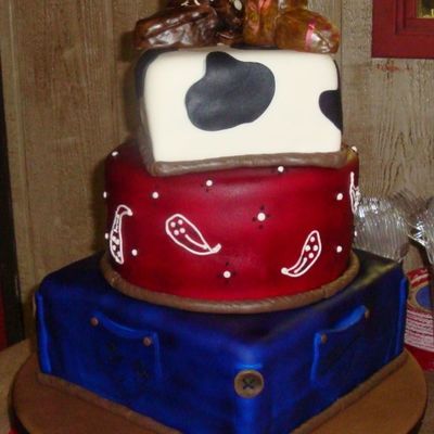 Western Engagement Shower Cake