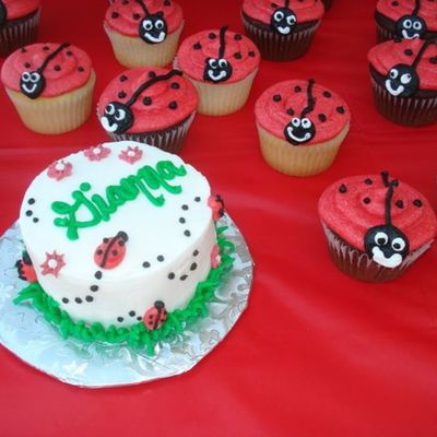Ladybug Bday
