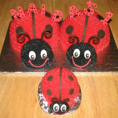 3-D Ladybugs For 1St Birthday