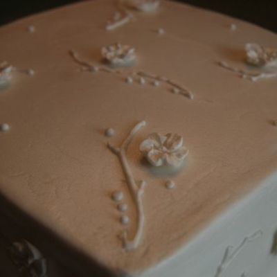 Heather's Anniversary Cake