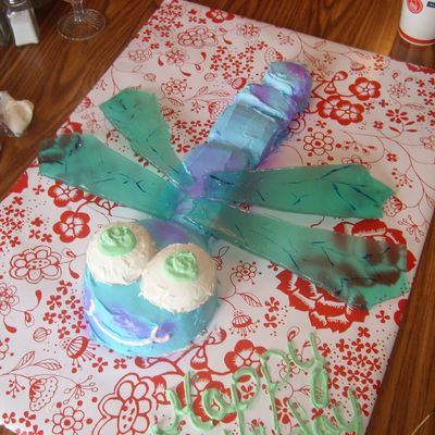 Dragonflies