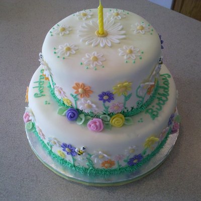 Colorful Daisy Garden