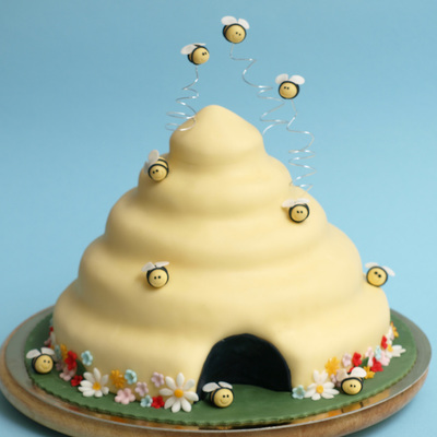 Bee Hive Cake