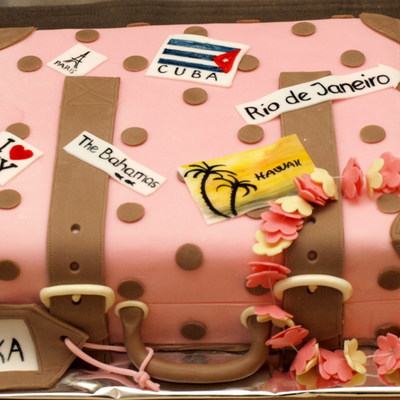 Luggage Cake