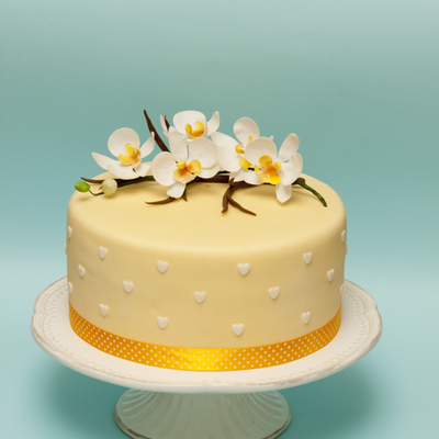 Orchid Cake