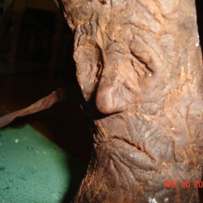 Scooby Doo Mystery Machine