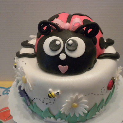 Ladybug Birthday Cake