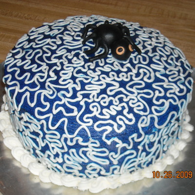 First Time Cornelli Lace