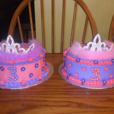 Twin Princess Cakes