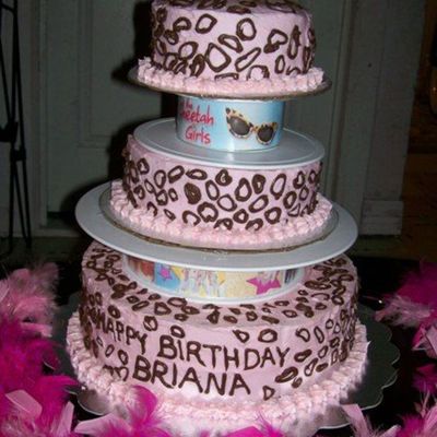 Cheetah Girls Birthday Cake