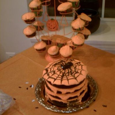 Chocolate Spider Cake & Cupcakes