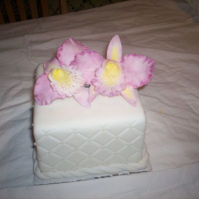 Gumpaste Orchids