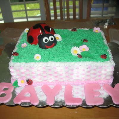 Ladybug 1St Birthday Cake