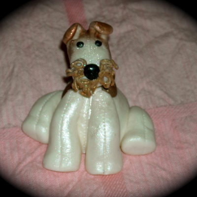 Wire Fox Terrier Dog