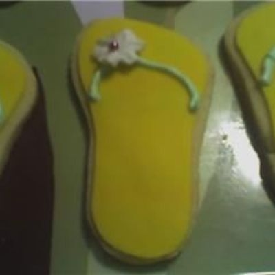 Flip Flops