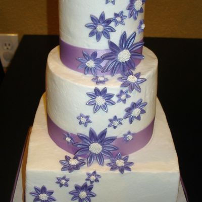 Lavander Daisys