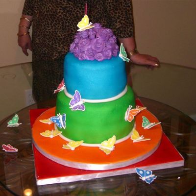 Rainbow Butterfly Cake