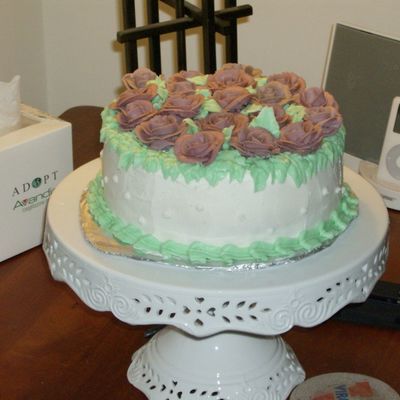Wilton 1 Cake (2)
