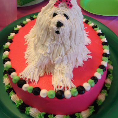 A Puppy For The Birthday Gir