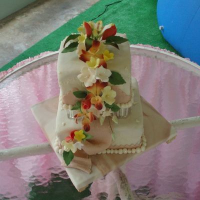 My Fancy Cake