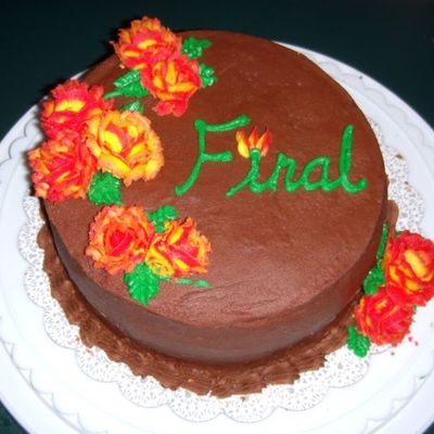 Wilton Course 1 Final Cake