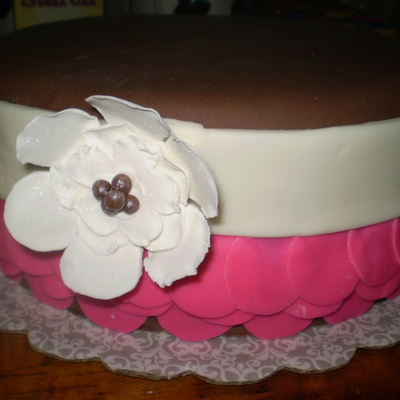 Pink And Chocolate Brown