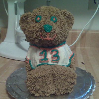 Dan Marino Bear