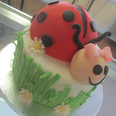 Ladybug Cake