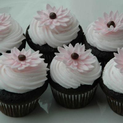 Pink Gerbera Daisy Mini Cupcakes